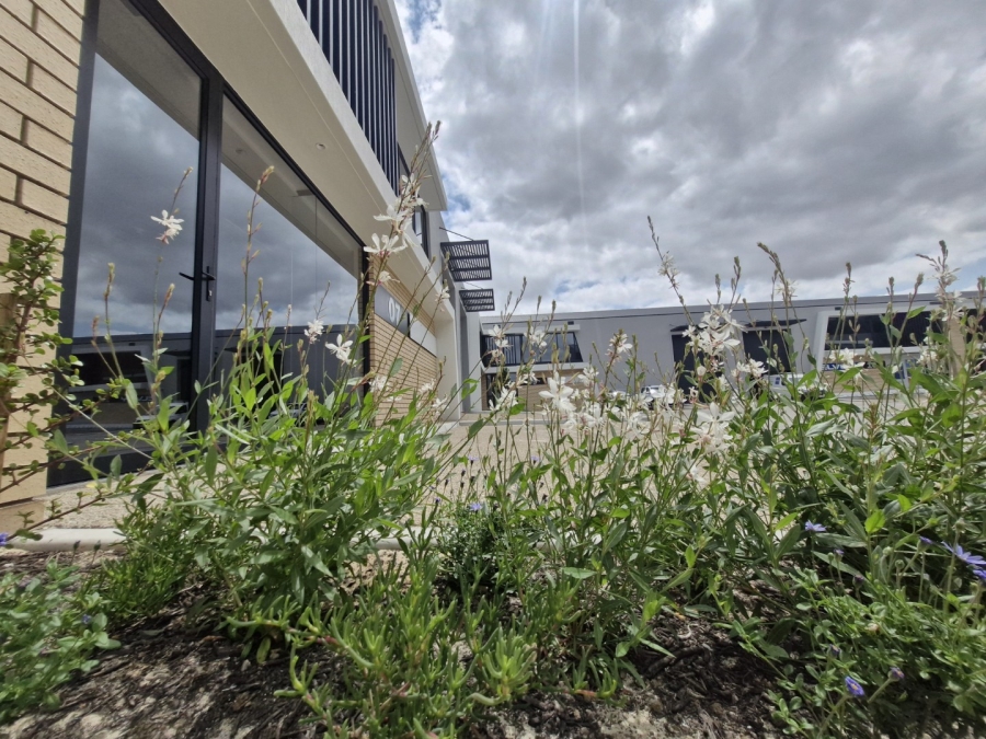 To Let commercial Property for Rent in Stikland Industrial Western Cape